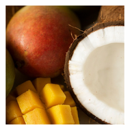 Mango Coconut Milk - Wax Melts