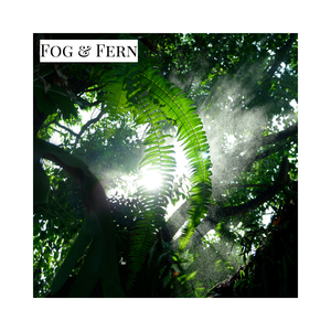 Fog & Fern - Candle