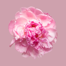 Load image into Gallery viewer, No.29 - Peony Candle
