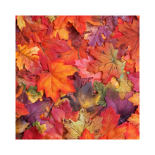 Load image into Gallery viewer, Leaves - Limited Autumn Candle
