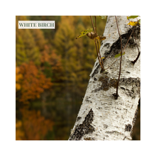 Load image into Gallery viewer, White Birch - Candle
